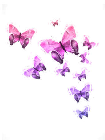 tropical flock of flying colored butterflies isolated on whiteの写真素材