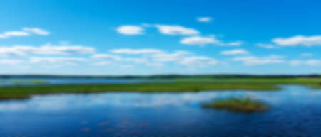 water surface. lake with forest. Background for design. Blurred imageの写真素材