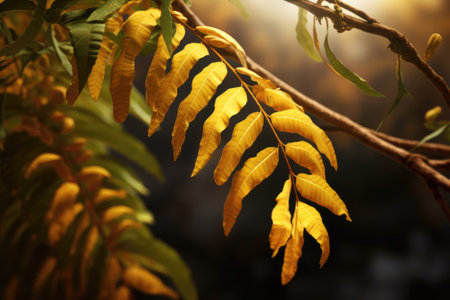 A close-up view of a tree branch covered in vibrant yellow leaves. This image can be used to depict the beauty of nature, the changing seasons, or the concept of growth and renewal.の素材
