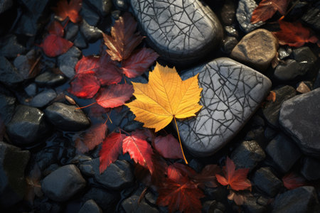A vibrant yellow leaf resting on a stack of rocks. Suitable for nature-themed designs and autumn-related projects.の素材