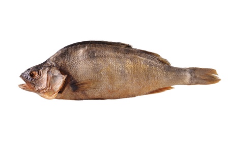 fish perchの写真素材