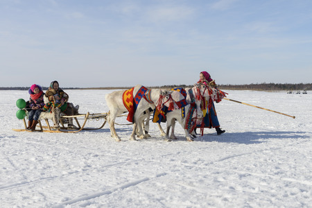 Day of the reindeer herders in the Yamal Peninsula, Nenets national holidayのeditorial素材