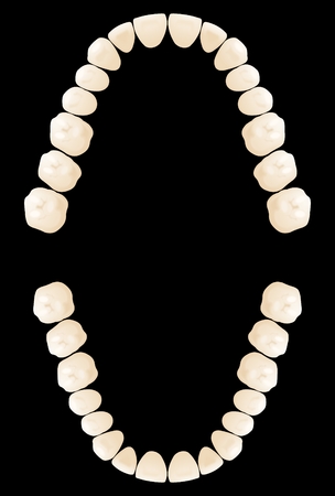 Vector map teeth illustration on black backgroundのイラスト素材