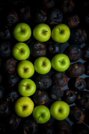 Fresh green apple alphabet letter on a background of rotten applesの写真素材