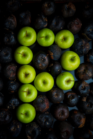 Fresh green apple alphabet letter on a background of rotten applesの写真素材