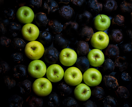 Fresh green apple alphabet letter on a background of rotten applesの写真素材