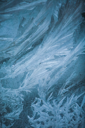frost patterns for winter backgroundsの写真素材