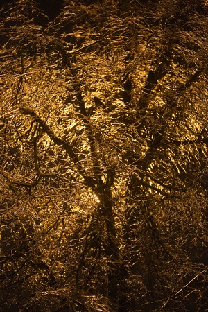 Evening snowstorm, falling snow under the light of a lantern as a backgroundの写真素材