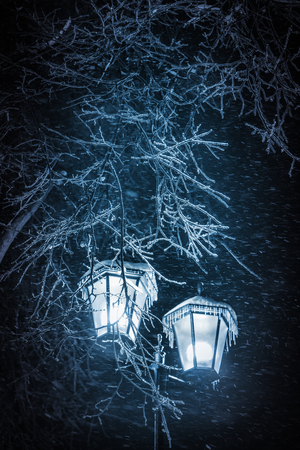 City lantern under the snow in the nightの写真素材