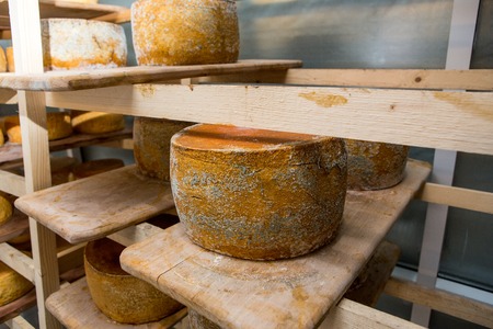 cheese heads in the vault on the wooden shelvesの写真素材