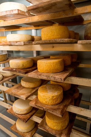 cheese heads in the vault on the wooden shelvesの写真素材