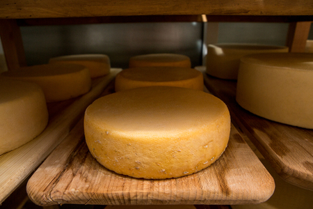 cheese heads in the vault on the wooden shelvesの写真素材