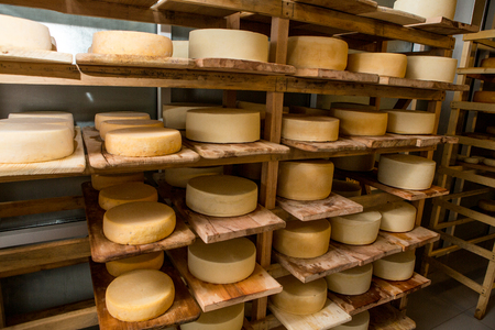 cheese heads in the vault on the wooden shelvesの写真素材