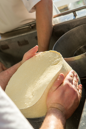 Rustic gourmet cheese in hands of cheese maker, close up. Spicy seasoning hand made cheese.の写真素材