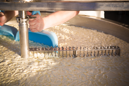 Cheese maker -Traditional cheese making at a creamery,の写真素材
