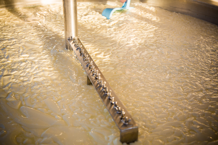 Cheese maker -Traditional cheese making at a creamery,の写真素材