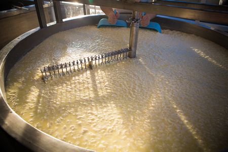 Cheese maker -Traditional cheese making at a creamery,の写真素材