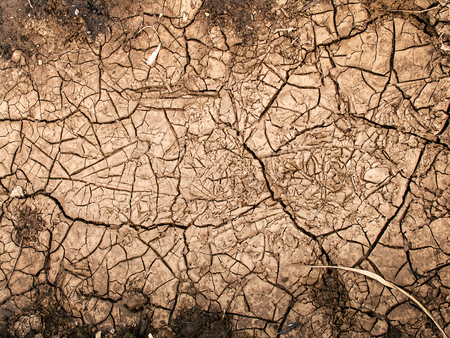 cracked clay ground into the dry seasonの写真素材