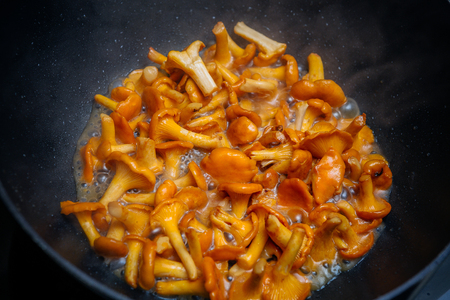 Fried chanterelle mushrooms in a cast iron panの写真素材