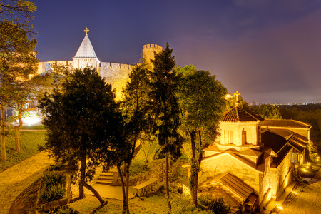 Belgrade fortress and Kalemegdan park at nightのeditorial素材