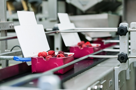 frozen red raspberries in sorting and processing machinesの写真素材