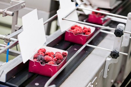 frozen red raspberries in sorting and processing machinesの写真素材