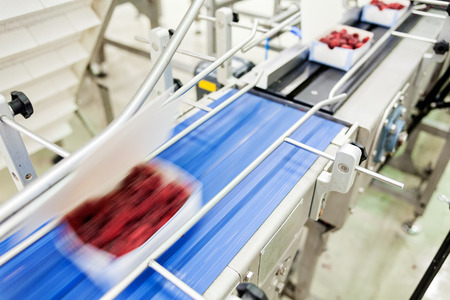 frozen red raspberries in sorting and processing machinesの写真素材