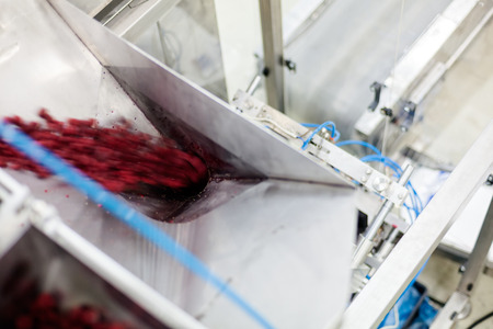 frozen red raspberries in sorting and processing machinesの写真素材