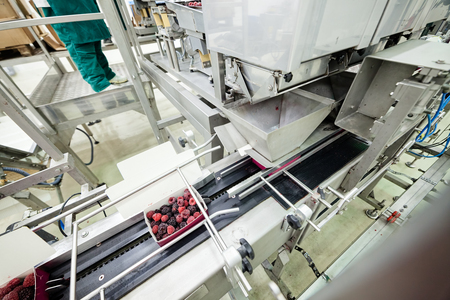 frozen red raspberries in sorting and processing machinesの写真素材