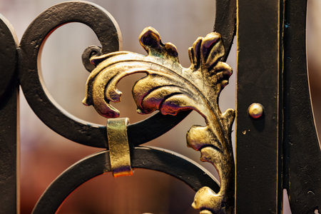 details of structure and ornaments of wrought iron fence and gate