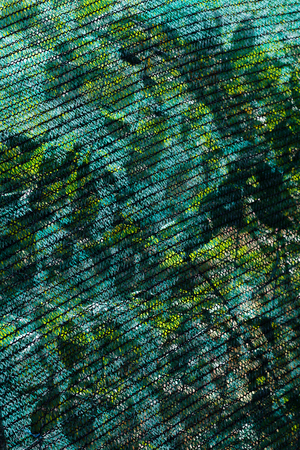 small green safety net in constructionの写真素材