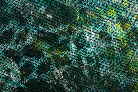 small green safety net in construction