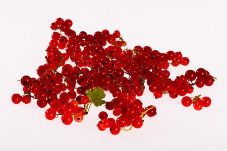 Red currants isolated on white backgroundの写真素材
