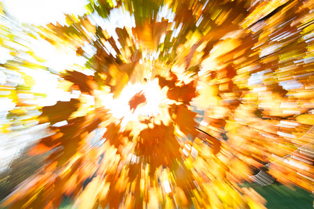 abstract light through autumn leaves, for blurred backgroundの写真素材