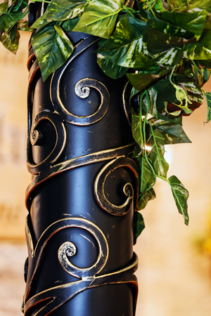 Details, structure and ornaments of wrought iron fence with gateの写真素材
