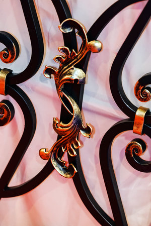 Details, structure and ornaments of wrought iron fence with gateの写真素材