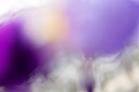 abstraction purple iris on the bright background, for blurred backgroundの写真素材