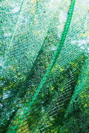 thick green plastic safety net for construction site, note shallow depth of fieldの写真素材