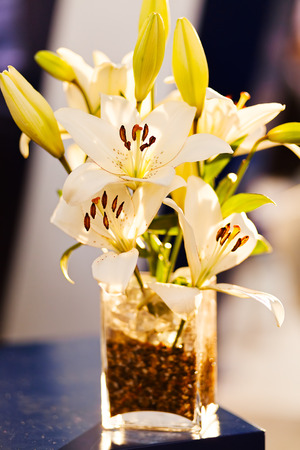 ikebana of orchids , note shallow depth of fieldの写真素材