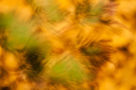 abstract plant in the field, note shallow depth of field