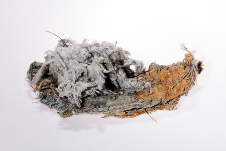asbestos on the white backgroundの写真素材
