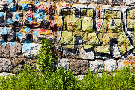 damaged wall with plants and grass, note shallow depth of fieldの写真素材