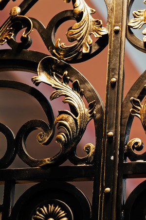Details, structure and ornaments of wrought iron fence with gateの写真素材