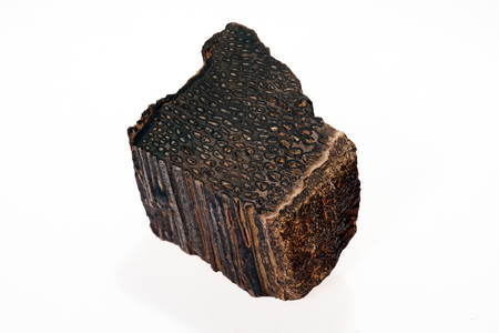 woody opal on the white backgroundの写真素材