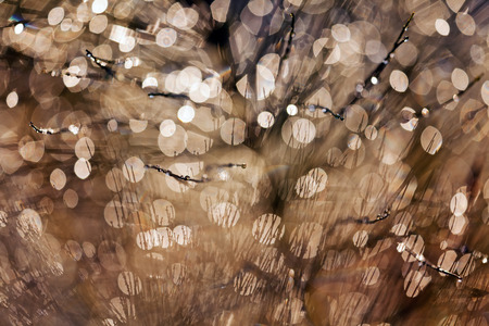 reflections of raindrops on the plant, for blurred backgroundの写真素材