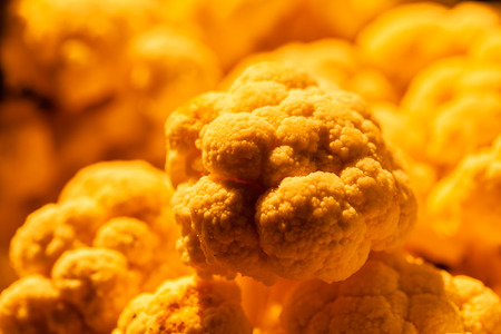 Close up fresh autumn cauliflower and his texture, organic food; note shallow depth of fieldの写真素材