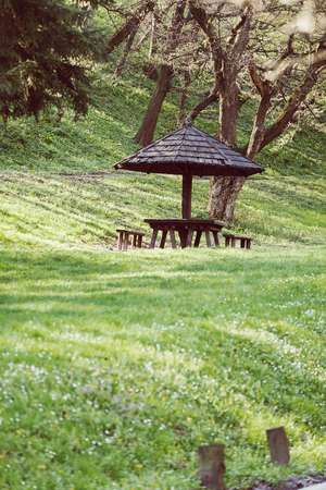 place for picnic in the woods, note shallow depth of fieldの写真素材