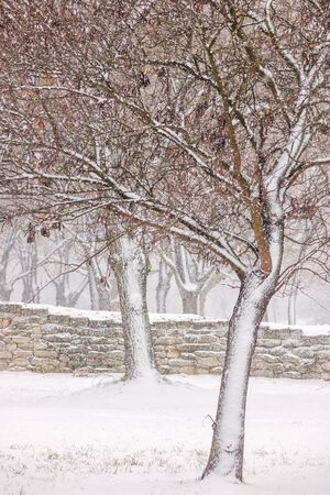 Belgrade fortress under the snow, note shallow depth of fieldの写真素材