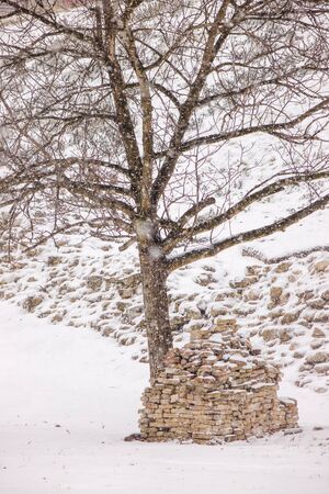 Belgrade fortress under the snow, note shallow depth of fieldの写真素材