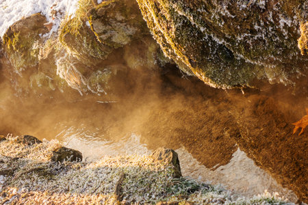 A small stream in the winter environment